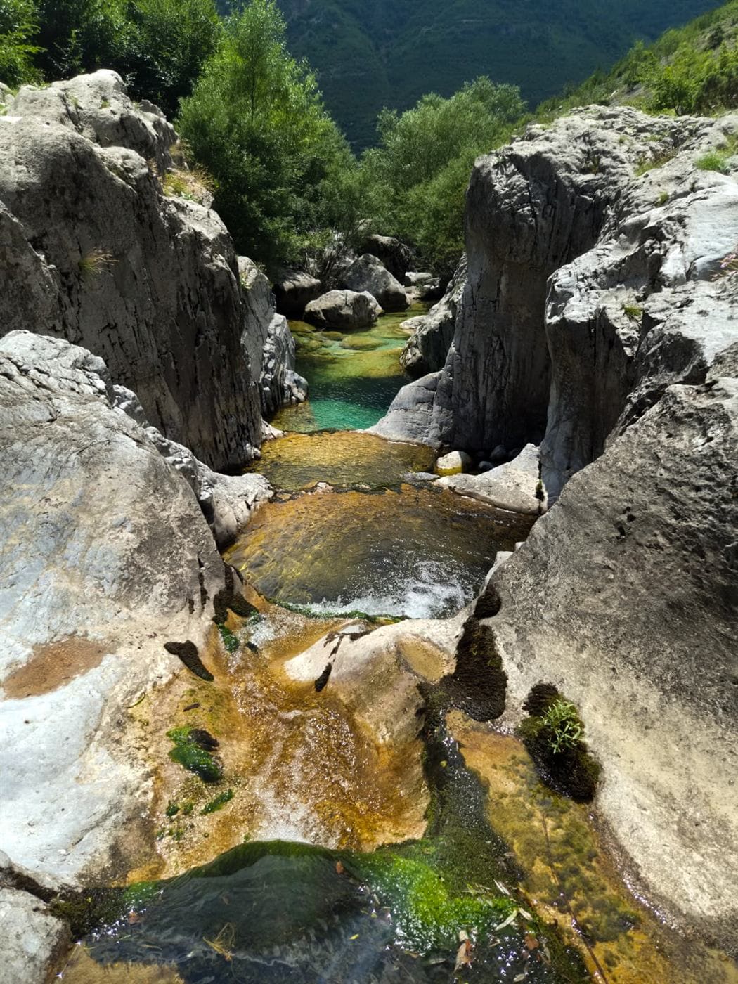 Clear pools between smooth, pale rocks in a narrow gorge