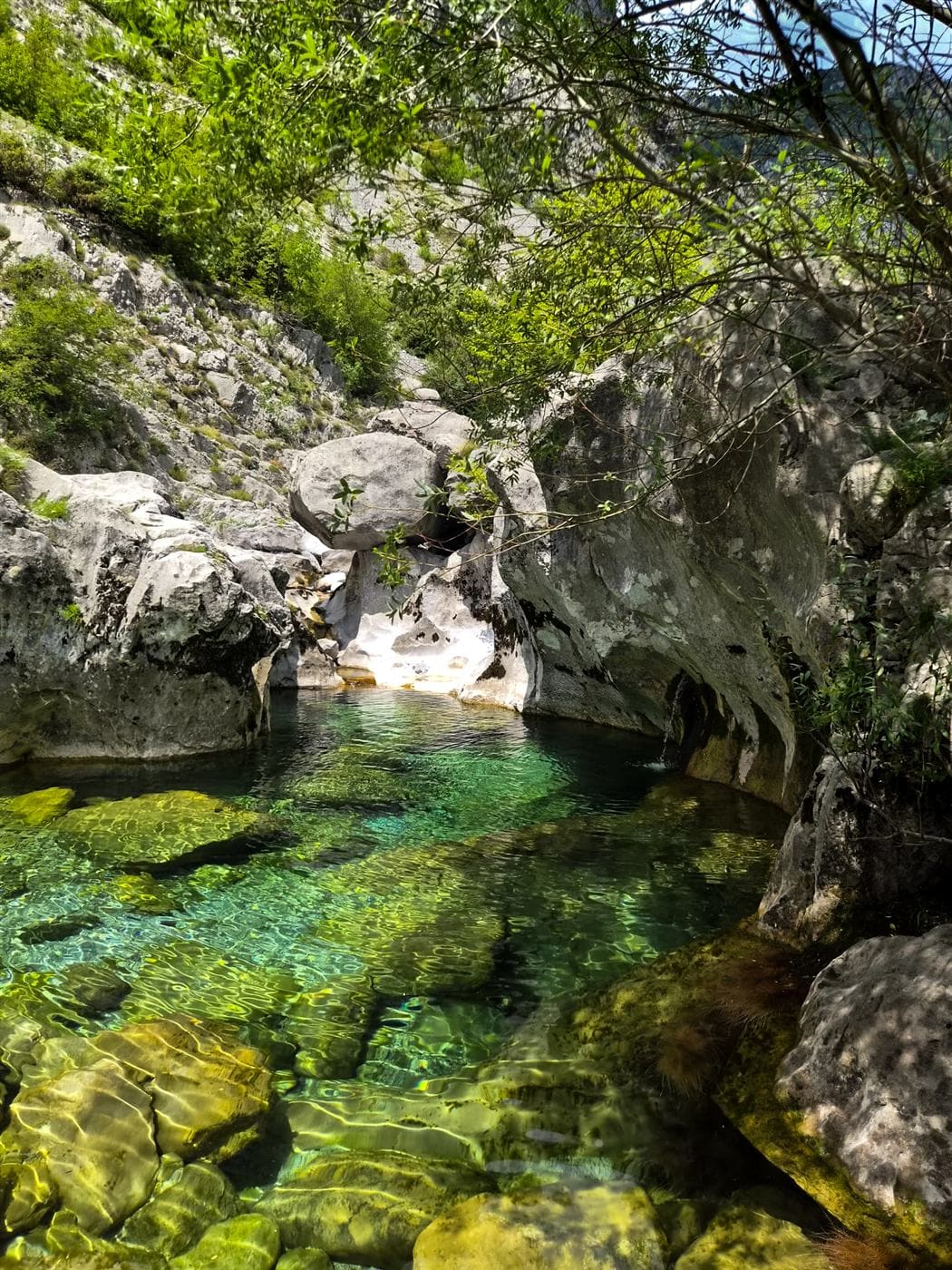 Clear green water flowing between mossy rocks