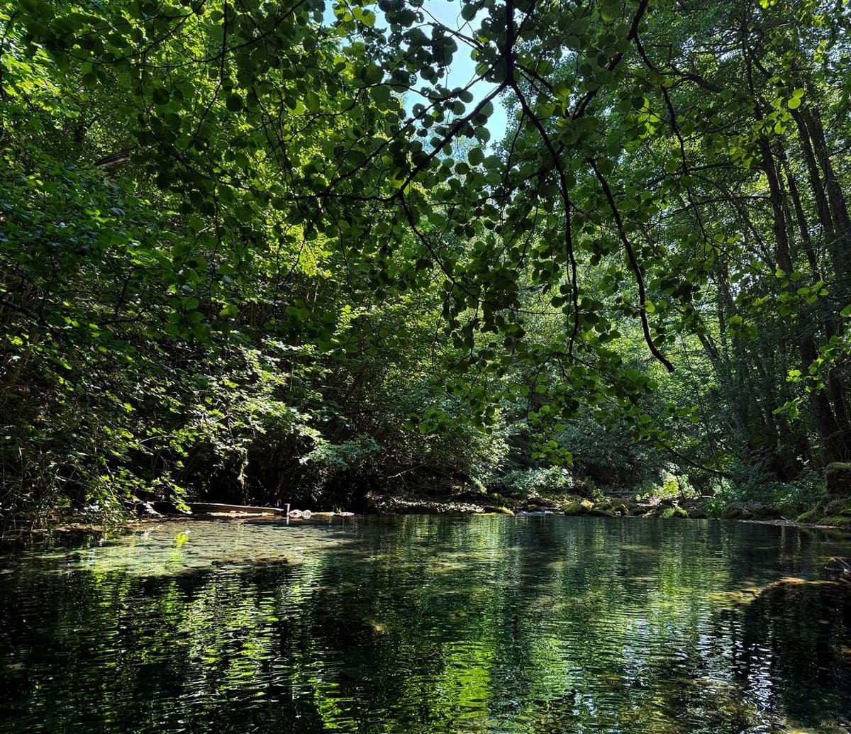 Fly fishing water in Bosnia and Herzegovina