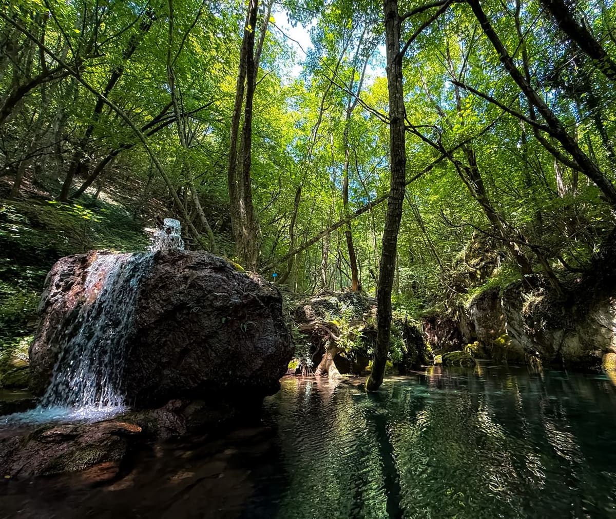 Waterfall into a clear forest pool