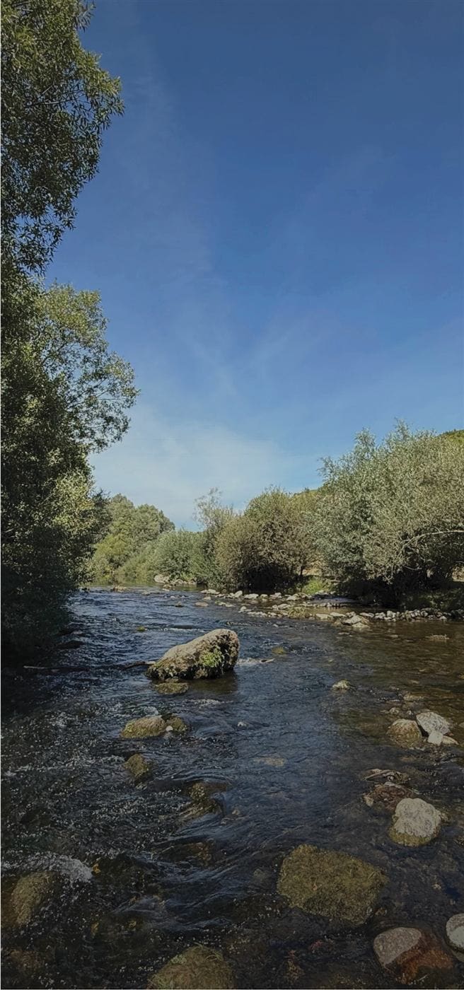 A shallow, rocky river under a blue sky