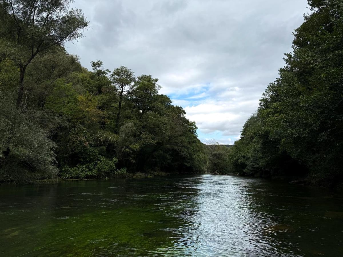 A calm river between forested banks