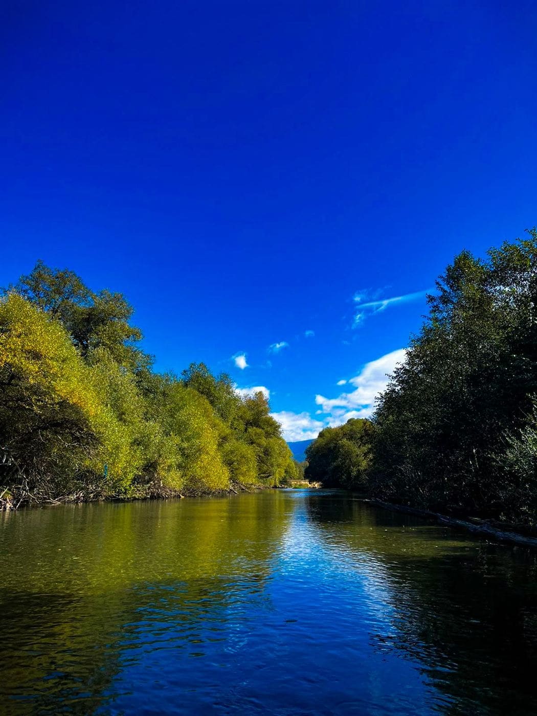 Autumn colour along the riverbank
