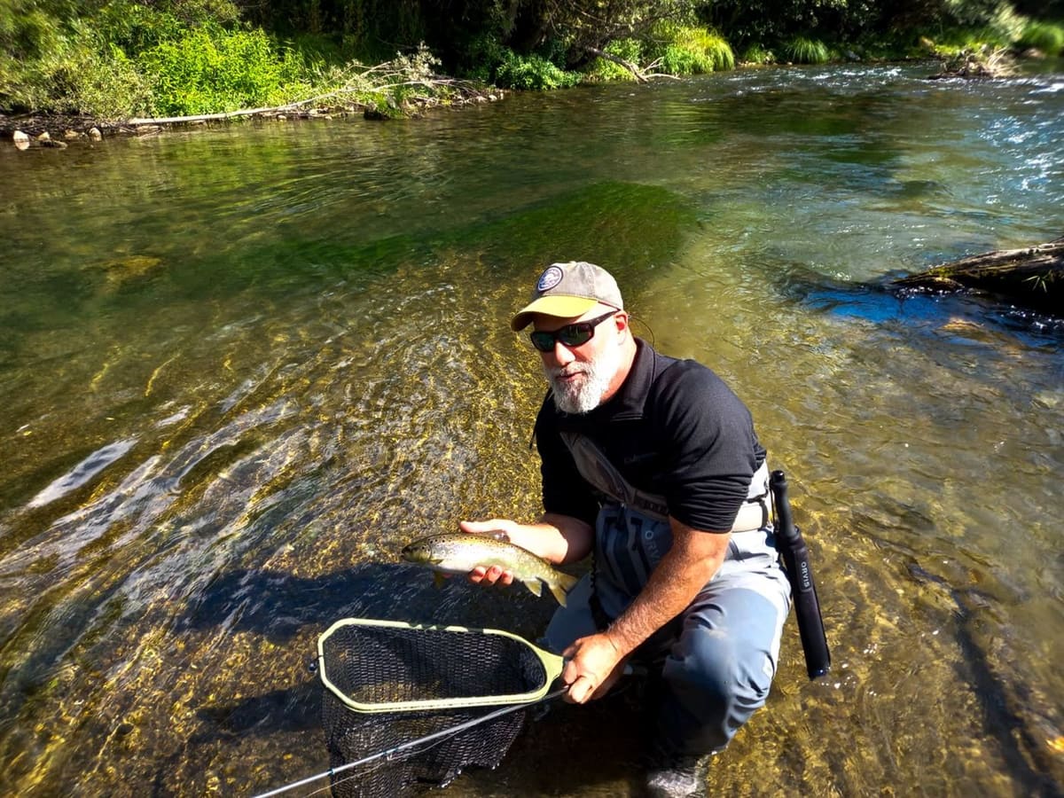 A wild brown trout, about to be released